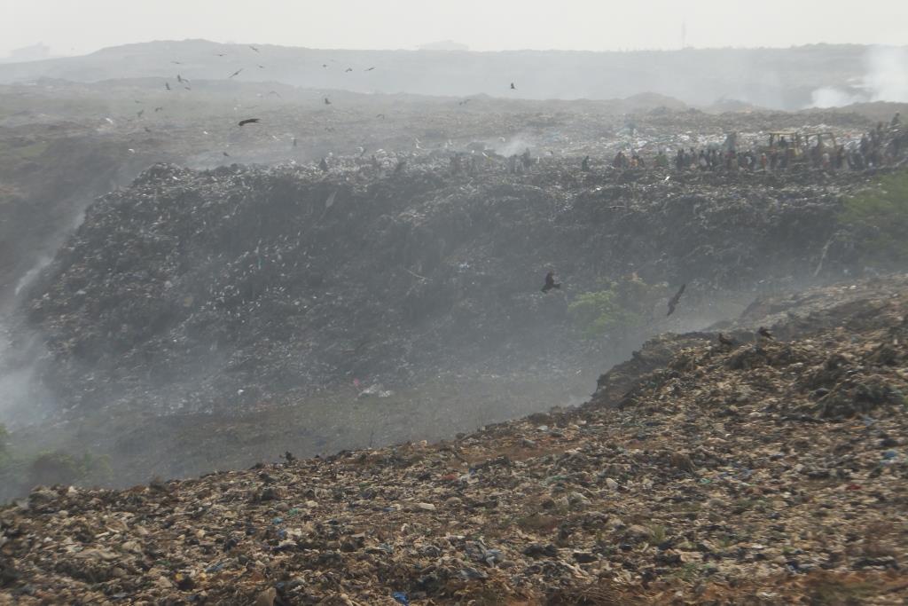 vuilnisbelt bij Abidjan, waar meeuwen en mensen strijden om de restjes.